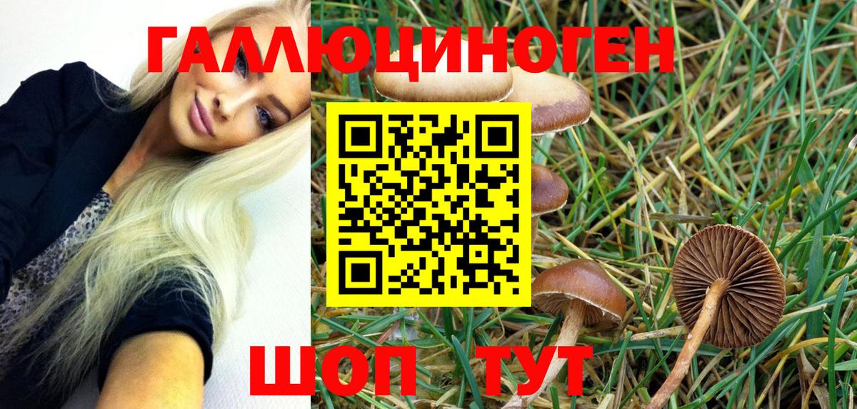 Галлюциногенные грибы MAGIC MUSHROOMS  Вход с VPN  Балтийск 
