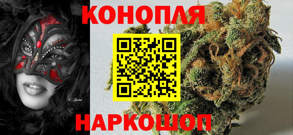 Бошки Шишки MAZAR Балтийск